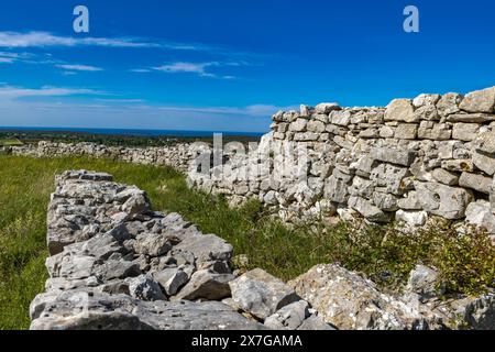 Monkodonja-Siedlung aus der Bronzezeit, archäologische Stätte von Rovinj in Kroatien Stockfoto