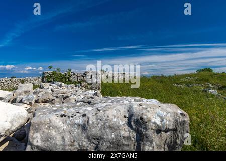 Monkodonja-Siedlung aus der Bronzezeit, archäologische Stätte von Rovinj in Kroatien Stockfoto