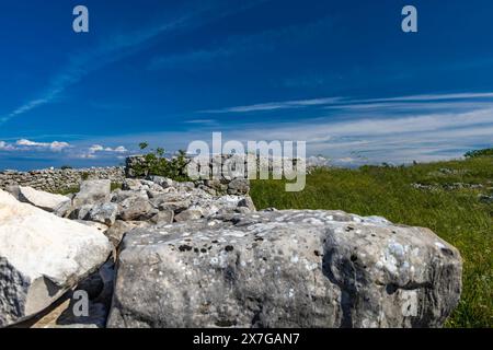 Monkodonja-Siedlung aus der Bronzezeit, archäologische Stätte von Rovinj in Kroatien Stockfoto