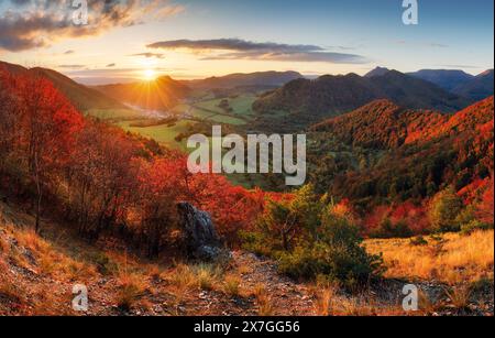 Herrlicher farbenfroher Herbsttag im Park, viele Bäume auf den orangen Hügeln. Stockfoto