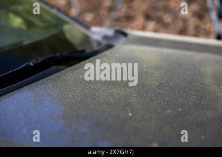 Saisonales Wetter, es gibt viele Pollen in der Luft und auf Autos und viele andere Dinge im Moment. Hier hat jemand Attjo (auf englisch: Achoo) auf ein Auto geschrieben. Stockfoto
