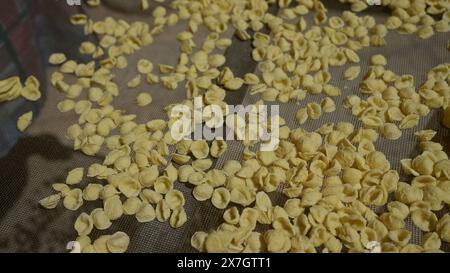 Orecchiette Nudeln trocknen im Freien in bari, apulien, italien, mit traditioneller italienischer Küche bei sonnigem Wetter auf einem Gittertablett. Stockfoto