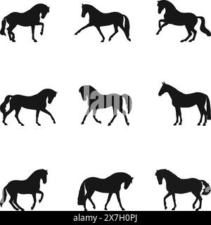 Pferd verschiedene Arten Silhouetten Set Stock Vektor