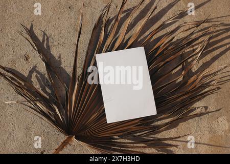 Exotische Schreibwaren-Mock-up-Szene im Sommer. Leere Grußkarte, Einladung auf trockenem Palmblatt. Strukturierter Sandsteinhintergrund im Sonnenlicht. Tropisches Design Stockfoto