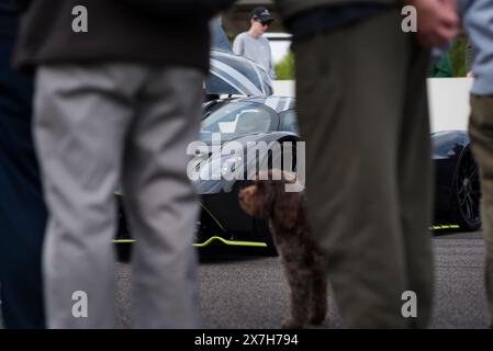 Ein Hund und Besitzer stehen vor einem Aston Martin Valkyrie Hypercar im 100th Breakfast Club auf der Goodwood Rennstrecke, Chichester, West Stockfoto