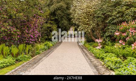 Frühling in den formellen Gärten von Holker Hall mit blühenden Rhododendron und Brunnen mit Kalksteinkaskade, Grange-over-Sands, Cumbria, England, Großbritannien. Stockfoto