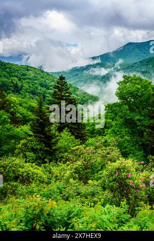 Malerischer Blick auf die Smokie Mountains vom Blue Ridge Parkway in der Nähe von Maggie Valley, North Carolina Stockfoto