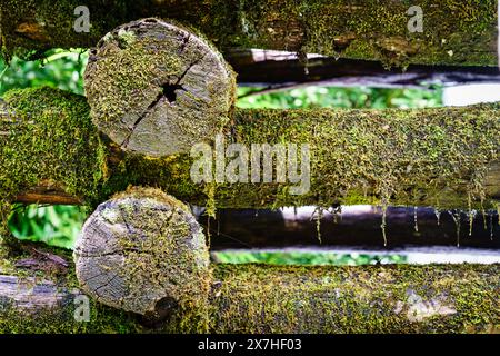 Nahaufnahme der Holztragekonstruktion der Mingus-Mühle in North Carolina Stockfoto