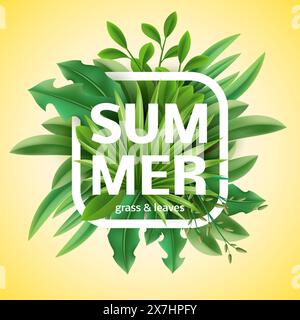 Sommerzeit. Realistisches Frühlingsgras, Rasenpflanzen und Kräuter, natürliche Wiesen isolierte Elemente. Organische Flora. Kräuterdekoration. Quadrat Stock Vektor
