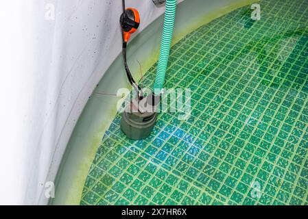 Entleeren von gebrauchtem Wasser aus einem Garten-Swimmingpool mit einer Hauswasserpumpe. Stockfoto