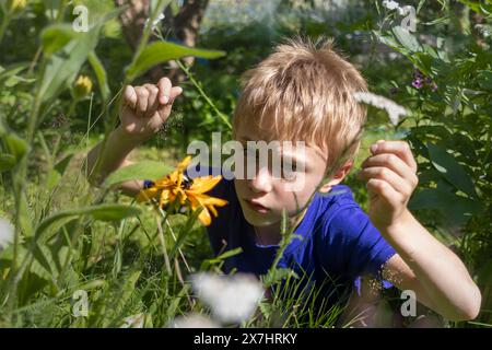 Junge ist überrascht, Hummel auf Blume im Sommergarten zu sehen. Stockfoto