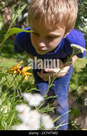 Blonder Junge untersucht ein Insekt auf Blume im Sommergarten. Stockfoto