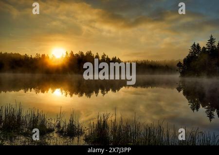 Der kleine Moorsee Etang de la Gruère im Schweizer Kanton Jura. Die Stimmung am Morgen kurz vor und nach Sonnenaufgang Stockfoto