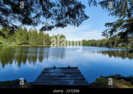 Der kleine Moorsee Etang de la Gruère im Schweizer Kanton Jura. Die Stimmung am Morgen kurz vor und nach Sonnenaufgang Stockfoto