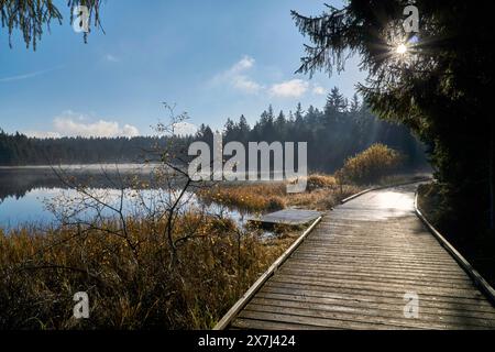 Der kleine Moorsee Etang de la Gruère im Schweizer Kanton Jura. Die Stimmung am Morgen kurz vor und nach Sonnenaufgang Stockfoto