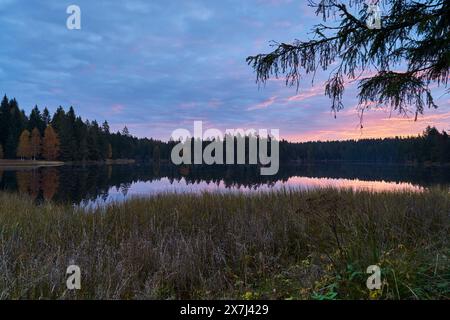 Der kleine Moorsee Etang de la Gruère im Schweizer Kanton Jura. Die Stimmung am Morgen kurz vor und nach Sonnenaufgang Stockfoto