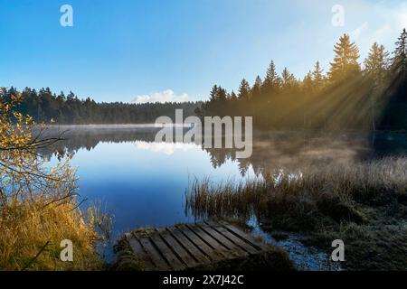 Der kleine Moorsee Etang de la Gruère im Schweizer Kanton Jura. Die Stimmung am Morgen kurz vor und nach Sonnenaufgang Stockfoto