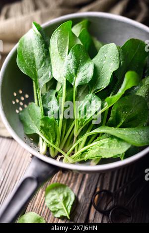 Frische grüne Spinatblätter in einem Metallsieb. Roher Bio-Baby-Spinat-Haufen aus nächster Nähe Stockfoto