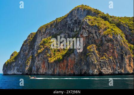 Die atemberaubende Tonsai Bay hat türkisfarbenes Wasser und ist ein Ort für Bootstouren. Fähren kommen und gehen, Yachten ankern, Tauchboote und Tourboote fahren hin und her, die Passagiere oder Güter transportieren. Die Bucht ist fast 2 km von den äußeren Punkten entfernt, mit hohen Klippen, die zu kleinen Stränden mit Affen und Korallenriffen an der Westseite führen. Die Ostseite der Bucht ist flacher, mit großen Korallenflächen und einer Reihe von Stränden und Hotels am Ufer. An der Mündung der Bucht, auf der Ostseite, befindet sich Long Beach und Shark Point, die gegenüber Phi Phi Leh liegen. Thailand. Stockfoto