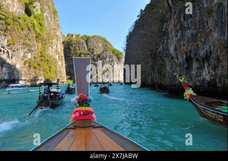 Die atemberaubende Tonsai Bay hat türkisfarbenes Wasser und ist ein Ort für Bootstouren. Fähren kommen und gehen, Yachten ankern, Tauchboote und Tourboote fahren hin und her, die Passagiere oder Güter transportieren. Die Bucht ist fast 2 km von den äußeren Punkten entfernt, mit hohen Klippen, die zu kleinen Stränden mit Affen und Korallenriffen an der Westseite führen. Die Ostseite der Bucht ist flacher, mit großen Korallenflächen und einer Reihe von Stränden und Hotels am Ufer. An der Mündung der Bucht, auf der Ostseite, befindet sich Long Beach und Shark Point, die gegenüber Phi Phi Leh liegen. Thailand. Stockfoto