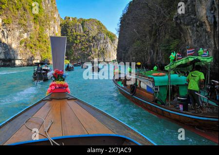 Die atemberaubende Tonsai Bay hat türkisfarbenes Wasser und ist ein Ort für Bootstouren. Fähren kommen und gehen, Yachten ankern, Tauchboote und Tourboote fahren hin und her, die Passagiere oder Güter transportieren. Die Bucht ist fast 2 km von den äußeren Punkten entfernt, mit hohen Klippen, die zu kleinen Stränden mit Affen und Korallenriffen an der Westseite führen. Die Ostseite der Bucht ist flacher, mit großen Korallenflächen und einer Reihe von Stränden und Hotels am Ufer. An der Mündung der Bucht, auf der Ostseite, befindet sich Long Beach und Shark Point, die gegenüber Phi Phi Leh liegen. Thailand. Stockfoto