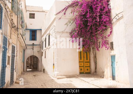 Traditionelle farbige Tür mit typisch tunesischer Architektur in den farbenfrohen Gassen der Medina in Tunis, der Hauptstadt Tunesiens, Nordafrika Stockfoto