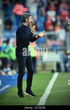 Genk, Belgien. Mai 2024. Antwerpener Cheftrainer Mark van Bommel reagiert auf ein Fußballspiel zwischen KRC Genk und Royal Antwerp FC am Montag, den 20. Mai 2024 in Genk, am 9. (Von 10) Tag der Play-offs der Champions der ersten Liga der Jupiler Pro League 2023-2024. BELGA FOTO JOHAN EYCKENS Credit: Belga News Agency/Alamy Live News Stockfoto