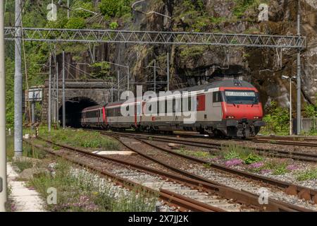 Züge und Bahnhof mit Peron im sonnigen Frühling heißen Morgen in Iselle Italien 05 11 2024 Stockfoto