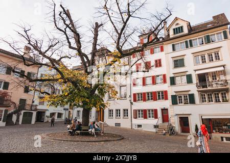 Die Menschen sitzen im Herbst unter einem großen Laubbaum auf einem Zürcher Stadtplatz, umgeben von historischen Wohnhäusern mit bunten Fensterläden Stockfoto