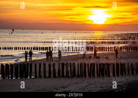 Sonnenuntergang am Strand von Zoutelande, Strand mit Wellbrechern aus Holzpfählen, Zeeland, Niederlande Sonnenuntergang Zeeland *** Sonnenuntergang am Strand von Zoutelande, Strand mit Holzpfahlbrüchen, Zeeland, Niederlande Sonnenuntergang Zeeland Stockfoto