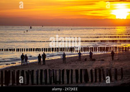 Sonnenuntergang am Strand von Zoutelande, Strand mit Wellbrechern aus Holzpfählen, Zeeland, Niederlande Sonnenuntergang Zeeland *** Sonnenuntergang am Strand von Zoutelande, Strand mit Holzpfahlbrüchen, Zeeland, Niederlande Sonnenuntergang Zeeland Stockfoto