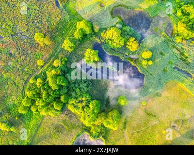 Luftaufnahme mit einem ruhigen See, umgeben von leuchtendem Grün und Wiesen. Die Szene ist in sanftes Morgenlicht getaucht und unterstreicht die natürliche Schönheit und Ruhe. Stockfoto