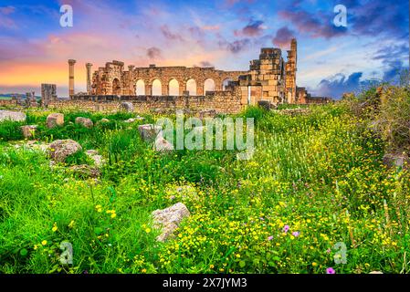 Volubilis, Marokko: Die Außenmauer der Basilika mit korinthischen Säulen bei Sonnenuntergang. Historische Stadt des römischen Mauretaniens, Nordafrika Stockfoto