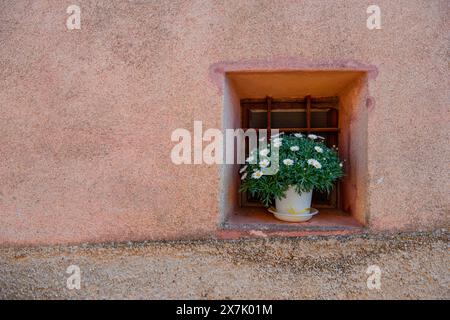Altes Fenster mit einer Vase voller Gänseblümchen Stockfoto