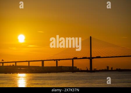 Die Dartford Bridge über die Themse zwischen Dartford und Thurrock bei Sonnenuntergang vom Flussufer bei Greenhithe Stockfoto