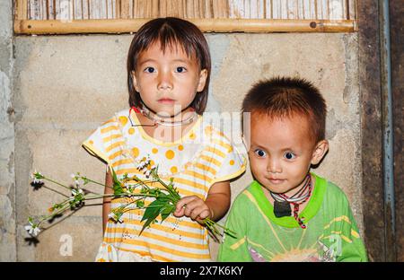 Süße, kleine, junge Hmong-Kinder, Junge und Mädchen, die einen Haufen gepflückter Blumen in einem Dorf in Chiang Khong, Provinz Chiang Rai, Nord-Thailand halten Stockfoto