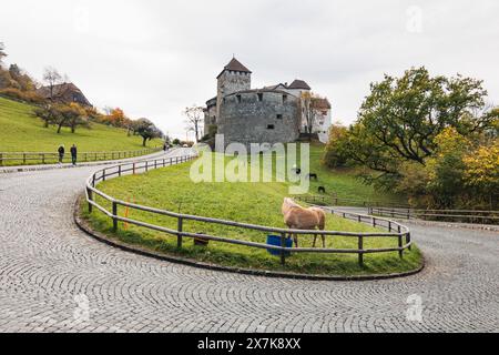 Eine kopfsteingepflasterte Straße führt auf einem grasbewachsenen Hügel zum Schloss Vaduz in Liechtenstein. Ein einsames Pferd grast im Vordergrund. Stockfoto