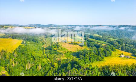 Blick am frühen Morgen auf sanfte Hügel und dichte Wälder mit leichtem Nebel, der sich über die Landschaft zieht und eine ruhige und ruhige Atmosphäre schafft. Stockfoto