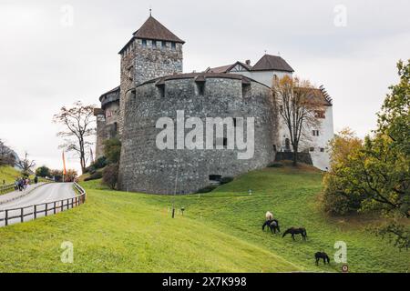 Schloss Vaduz steht auf einem Hügel mit Blick auf eine Straße, mit Pferden, die auf dem grünen Gras im Vordergrund weiden. Stockfoto