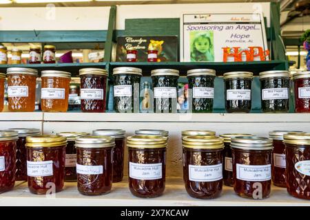 Hausgemachte Gläser mit Pfirsichmarmelade, Muskadinmarmelade, Pfeffergelee und brombeergelee an einem Verkaufsstand auf einem lokalen Bauernmarkt in Montgomery Alabama. Stockfoto