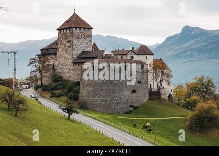 Eine gewundene Straße führt hinauf zum historischen Schloss Vaduz, das auf einem Hügel thront und ein Tal in Liechtenstein überblickt. Stockfoto