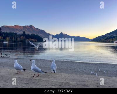 Lake Wakatipu ab Queenstown Bay bei Sonnenuntergang, Queenstown, Otago Region, Südinsel, Neuseeland Stockfoto