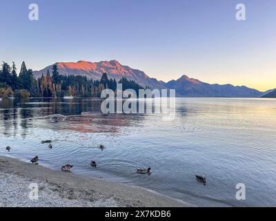 Lake Wakatipu ab Queenstown Bay bei Sonnenuntergang, Queenstown, Otago Region, Südinsel, Neuseeland Stockfoto