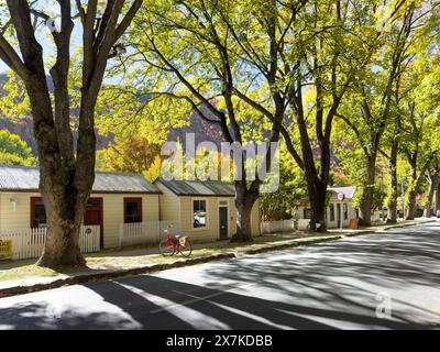 Kolonialhäuser in Herbstfarben, Buckingham Street, Arrowtown, Otago, South Island, Neuseeland Stockfoto