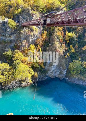 Bungy Jumping von Kawarau Gorge Suspension Bridge im Herbst, Gibbston Highway, Queenstown, Central Otago, Otago, Neuseeland Stockfoto