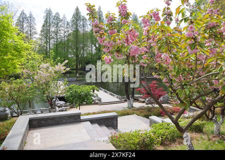 Xuanwu Lake Liangzhou, Xuanwuhu Park, Nanjing, Jiangsu, China Stockfoto