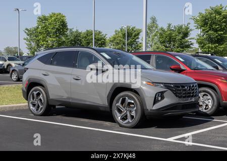 Noblesville - 19. Mai 2024: Hyundai Tucson Limited wird in einem Händlerbetrieb ausgestellt. Hyundai bietet den Tucson in den Modellen SE, SEL, XRT und N Line an. MEIN:2024 Stockfoto