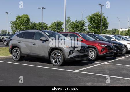 Noblesville - 19. Mai 2024: Hyundai Tucson wird in einem Händlerbetrieb ausgestellt. Hyundai bietet den Tucson in den Modellen SE, SEL, XRT und N Line an. MEIN:2024 Stockfoto