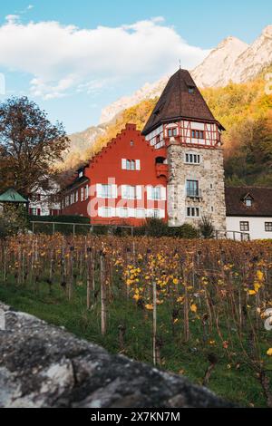 Das Rote Haus in Vaduz, Liechtenstein, mit weißer Zierleiste und Steinturm vor einem herbstlichen Berghang mit angrenzendem Weinberg. Baujahr 1338 Stockfoto