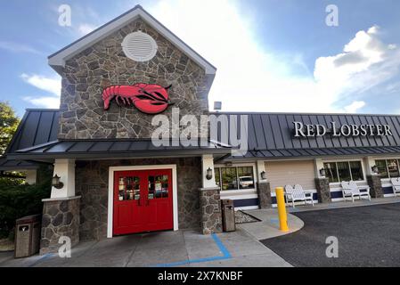 Alexandria, VA, USA. Mai 2024. Red Lobster meldet freiwilligen Insolvenz nach Kapitel 11 an, da dieser Standort in Alexandria, Virginia, während des Insolvenzverfahrens am 20. Mai 2024 weiterhin tätig ist. Quelle: Mpi34/Media Punch/Alamy Live News Stockfoto